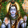 Sanatani