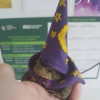 Frog-Wizard