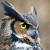 Nightowl005