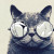 Jmojocat