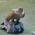 Birdybirdy