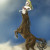 Vorehorse