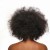 Regressed Negress