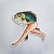 John_Smith_the_Fish