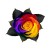 RainbowRose