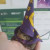 Frog-Wizard