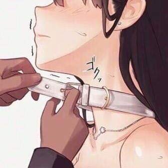 The Collar
