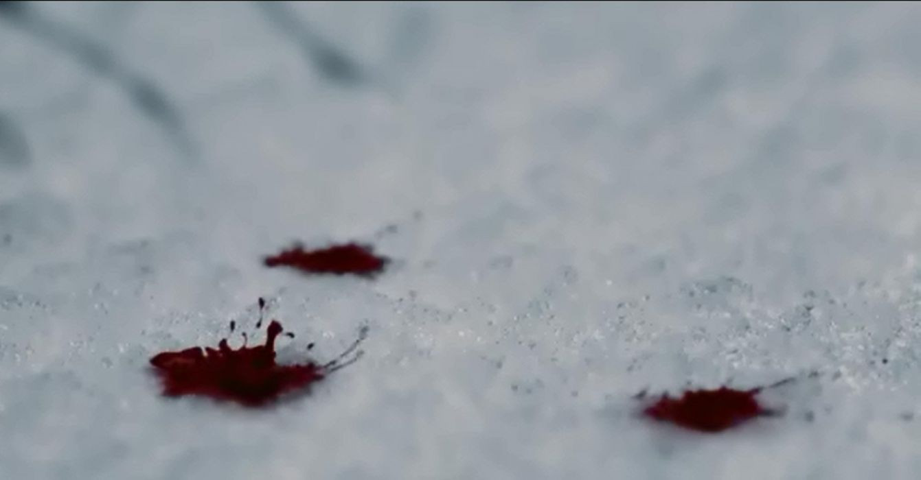 Blood And Snow