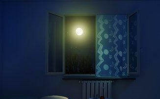 Intruder