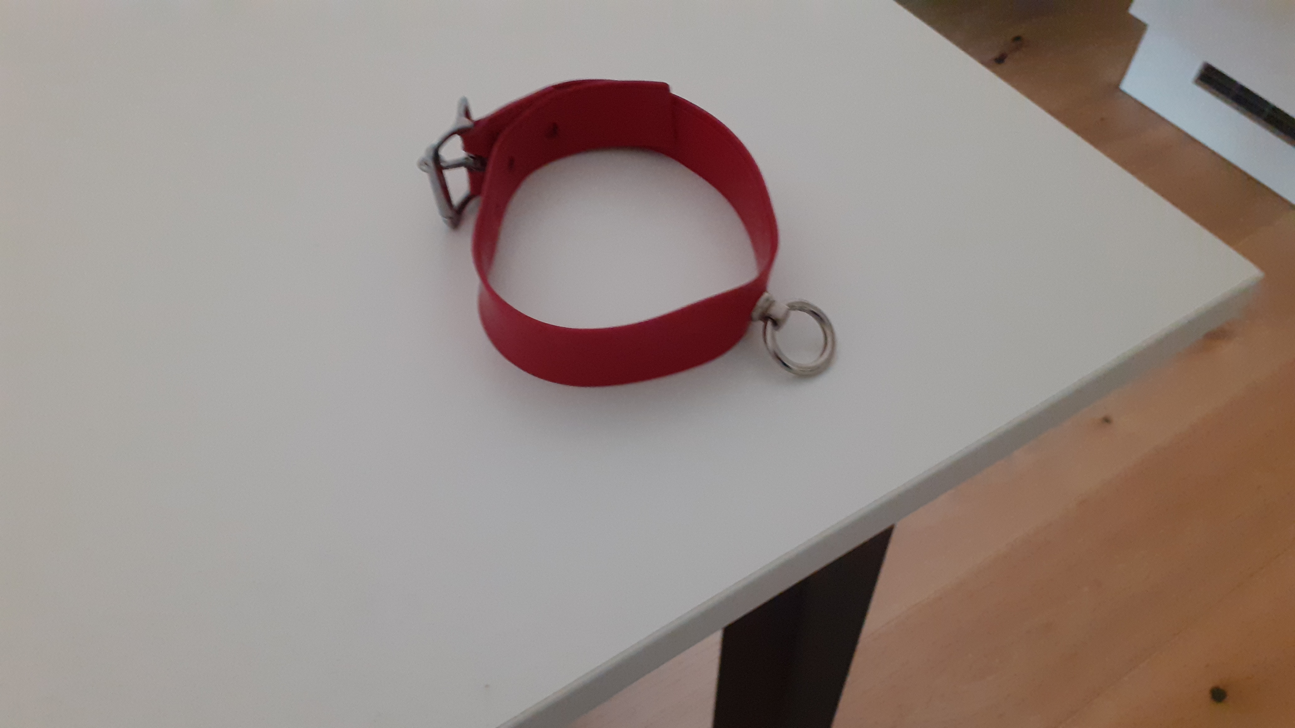 Das verwunschene Halsband