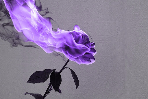 My Shrieking Violet
