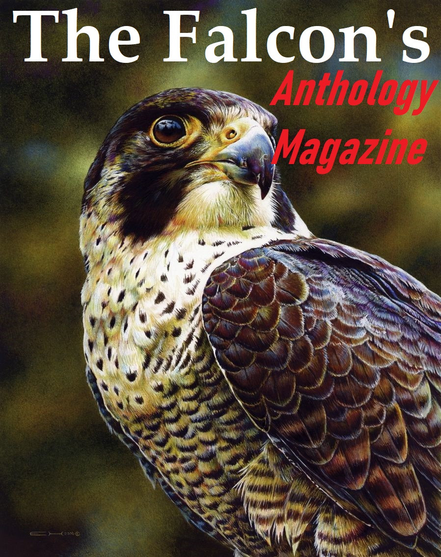 The Falcon's Magazine