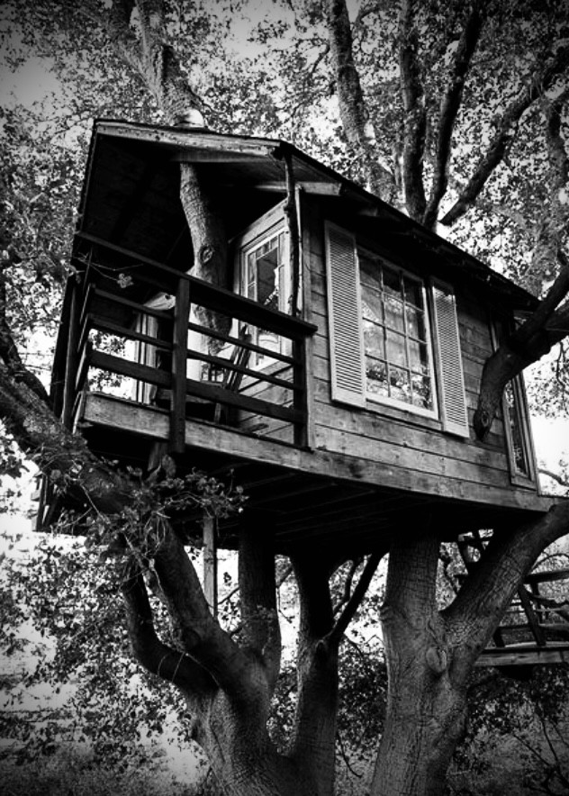 Mystical Tree Fort