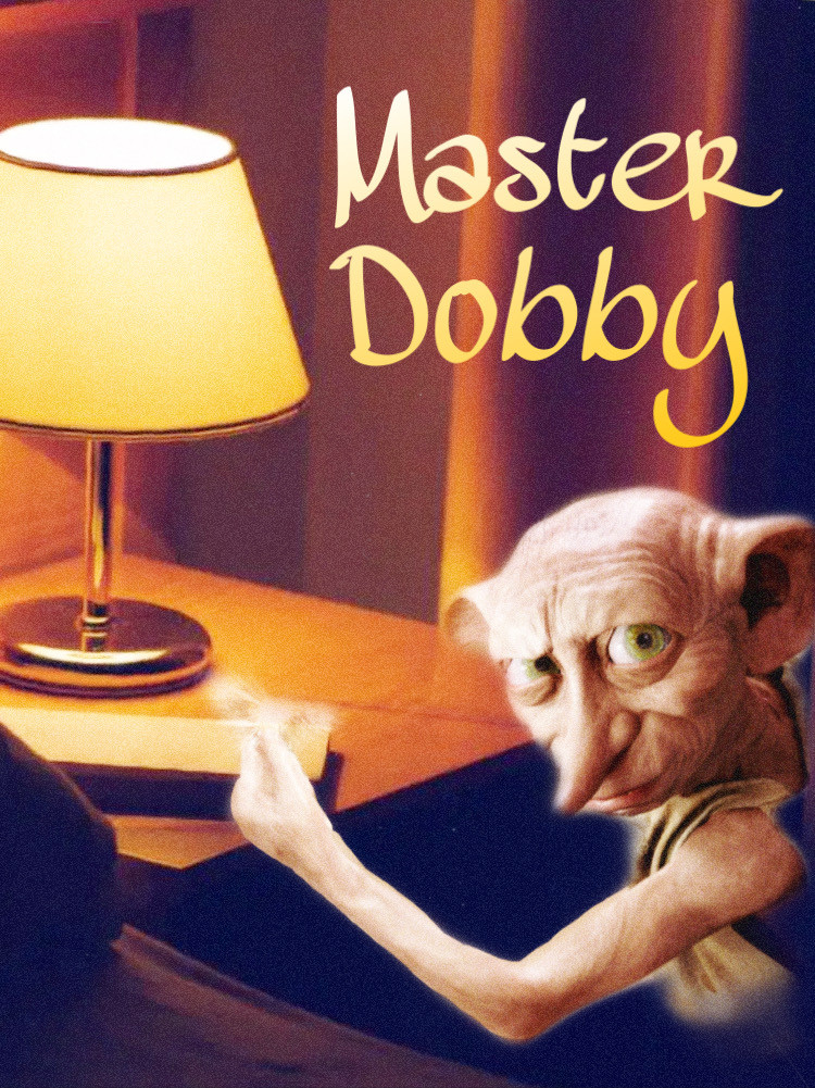 Master Dobby