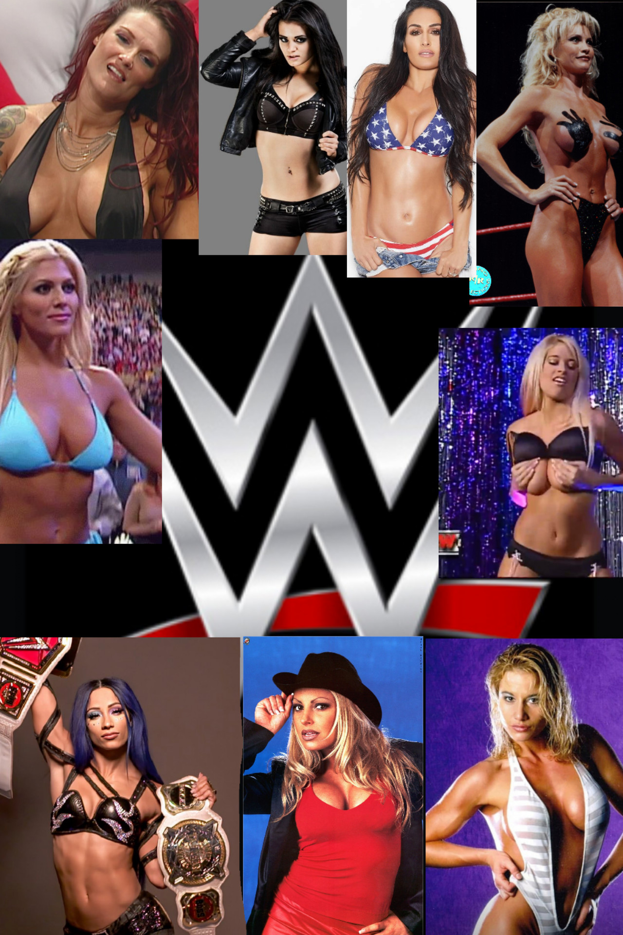 WWE: A Wrestling Career