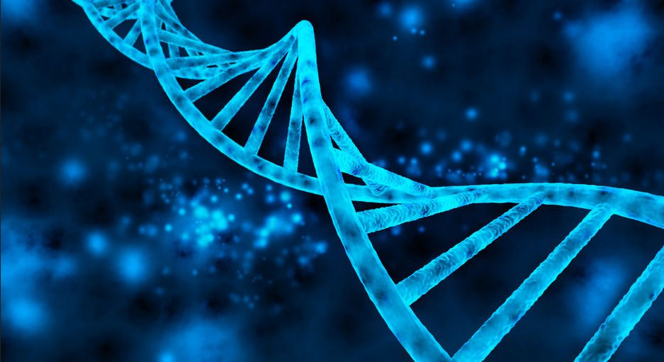 The god's gene
