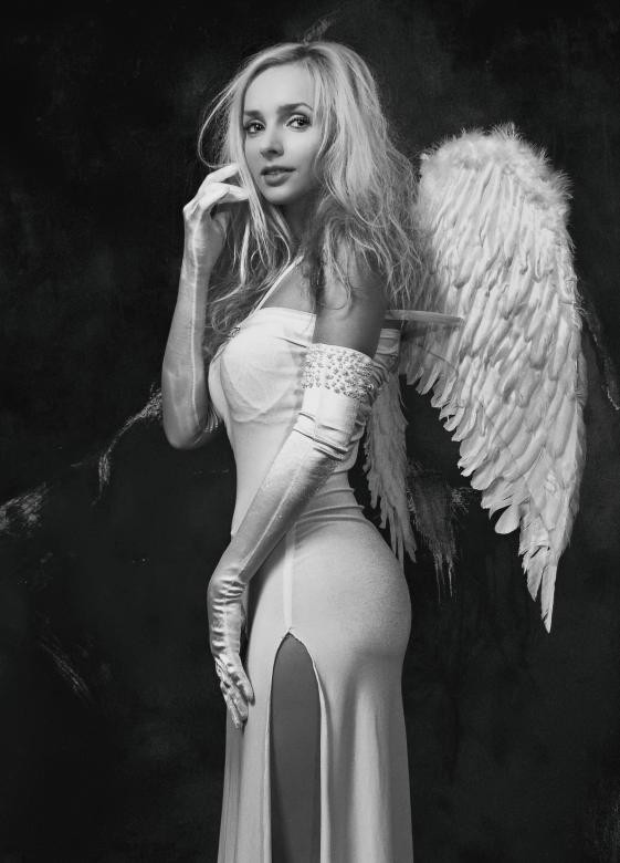 Destiny's Angel