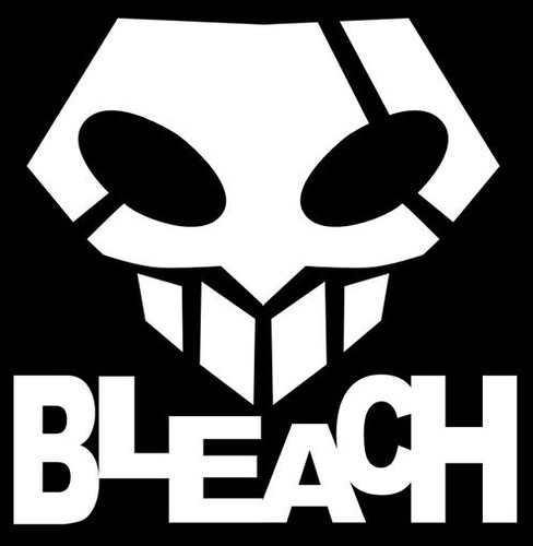 Bleach Possession