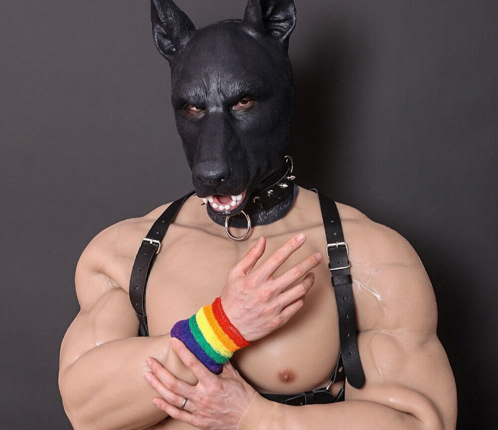 Trained to be a Good Dog 