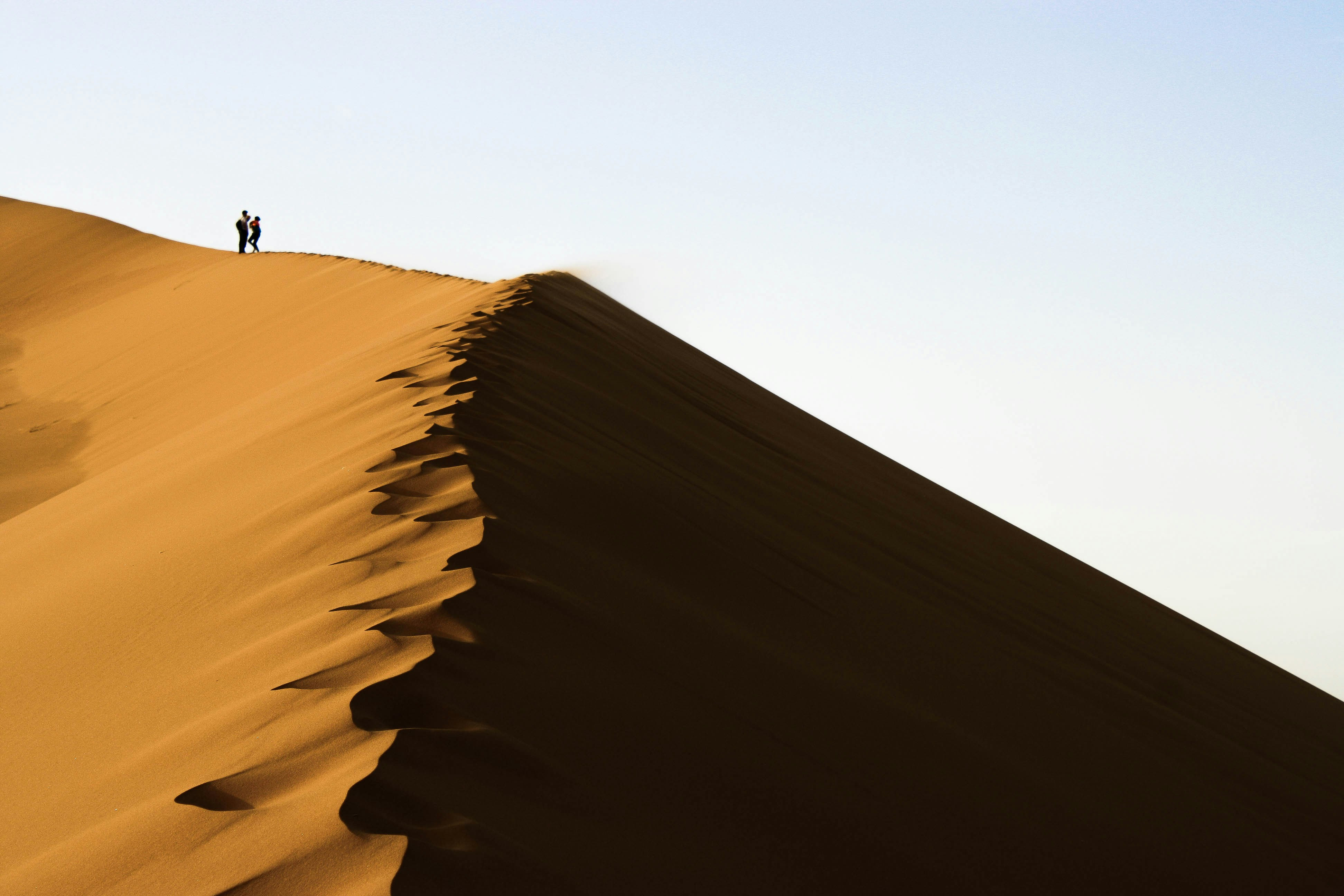 The Long Way Home