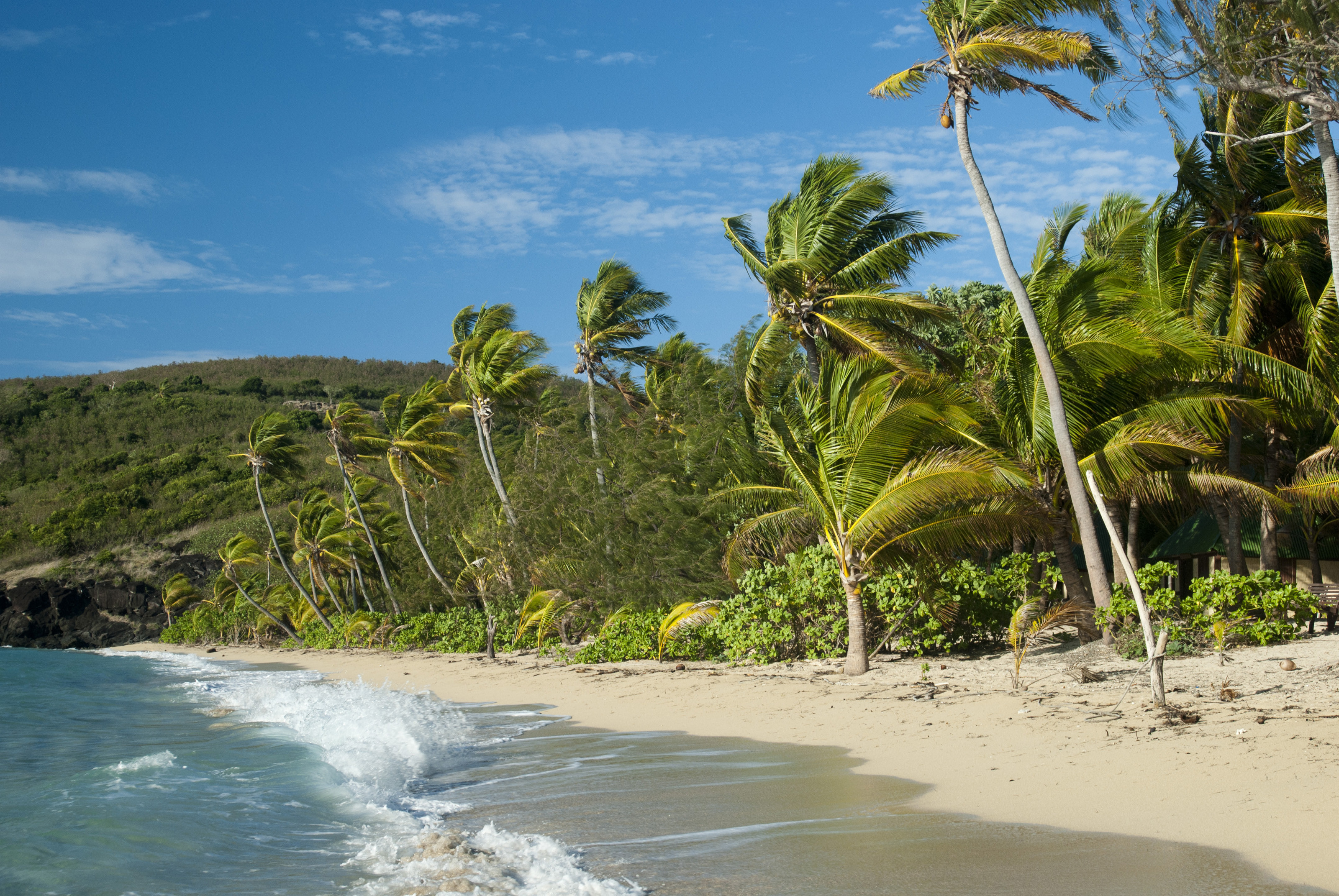 Crashed on a Deserted Island 