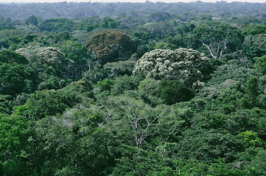 Afrika