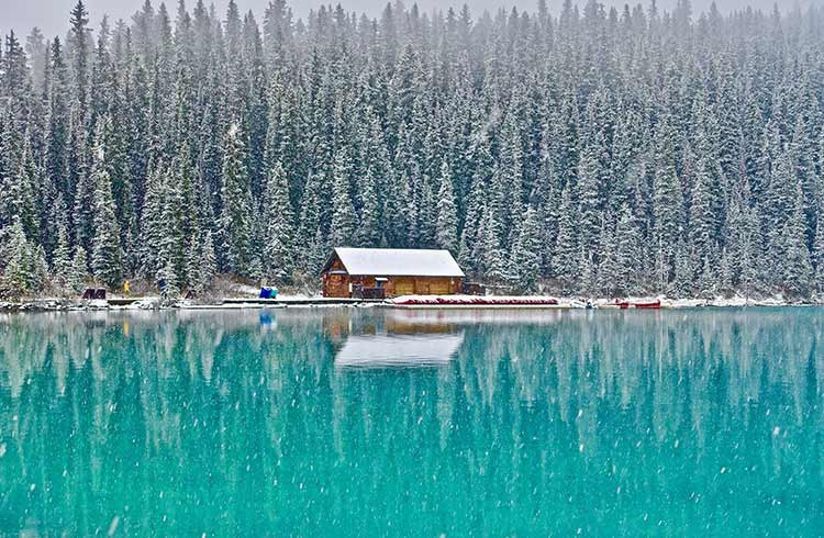 Trapped in the Canadian Winter