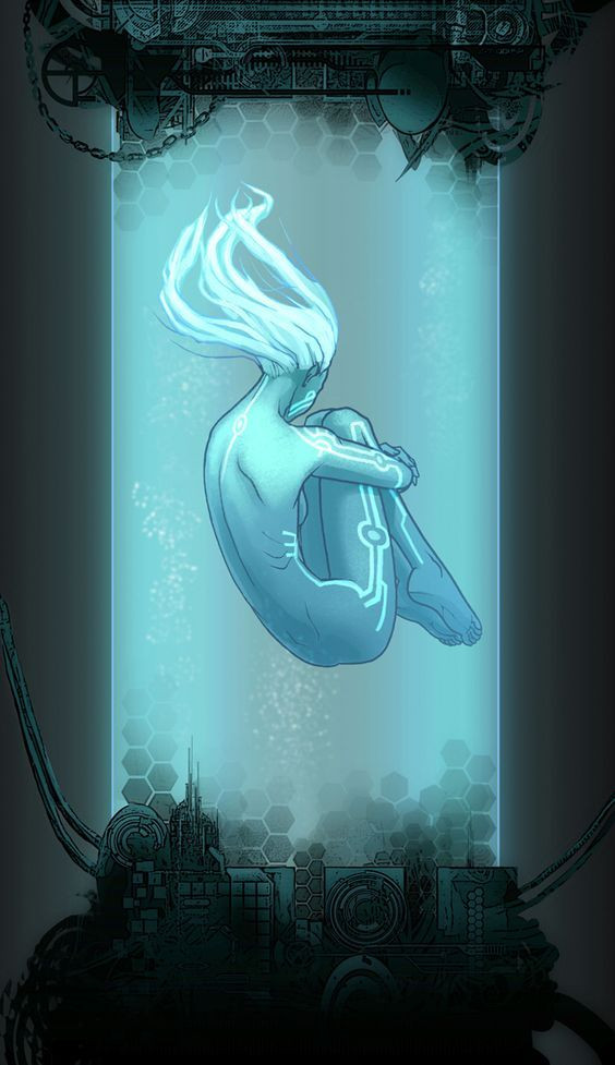 Nymph Service