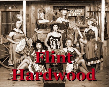 Adventures of Flint Hardwood, Bounty Hunter