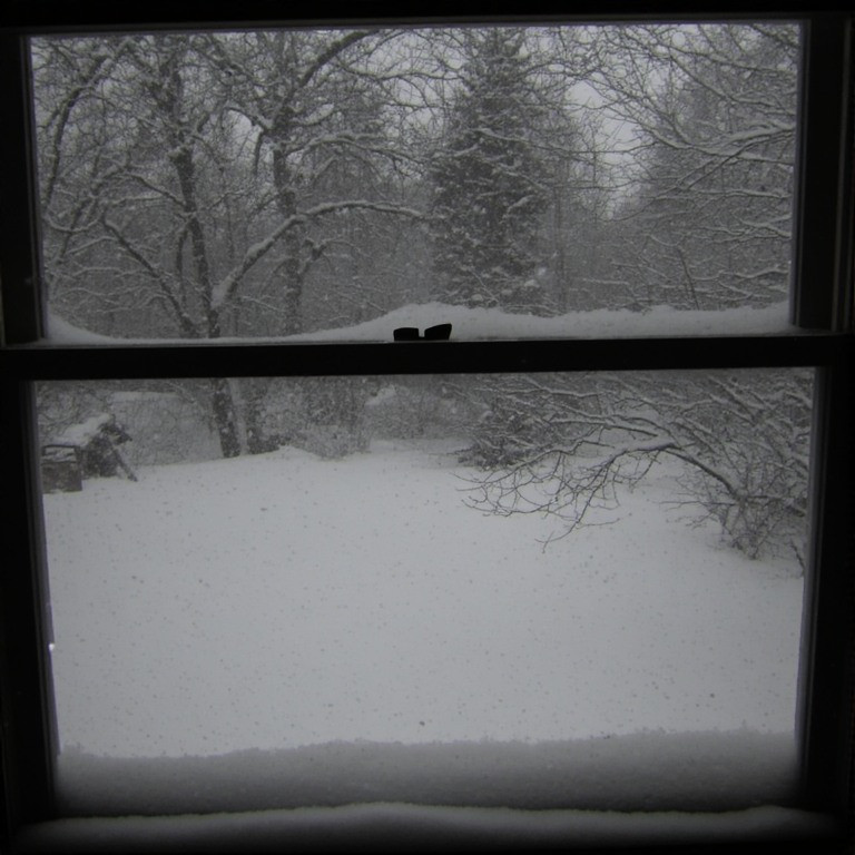 Snowed in