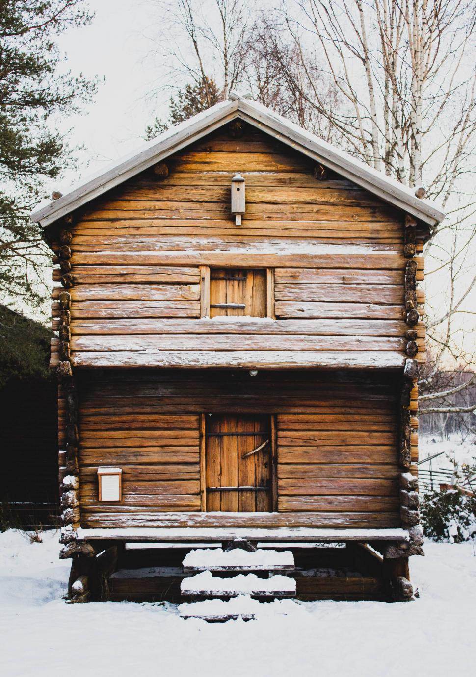 Snowed in