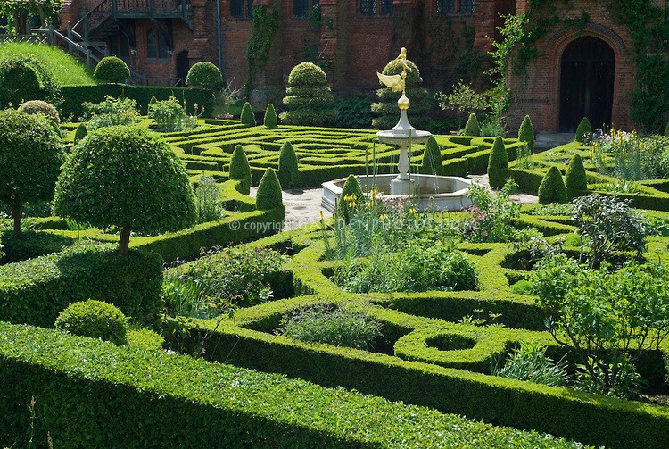 The maze of women