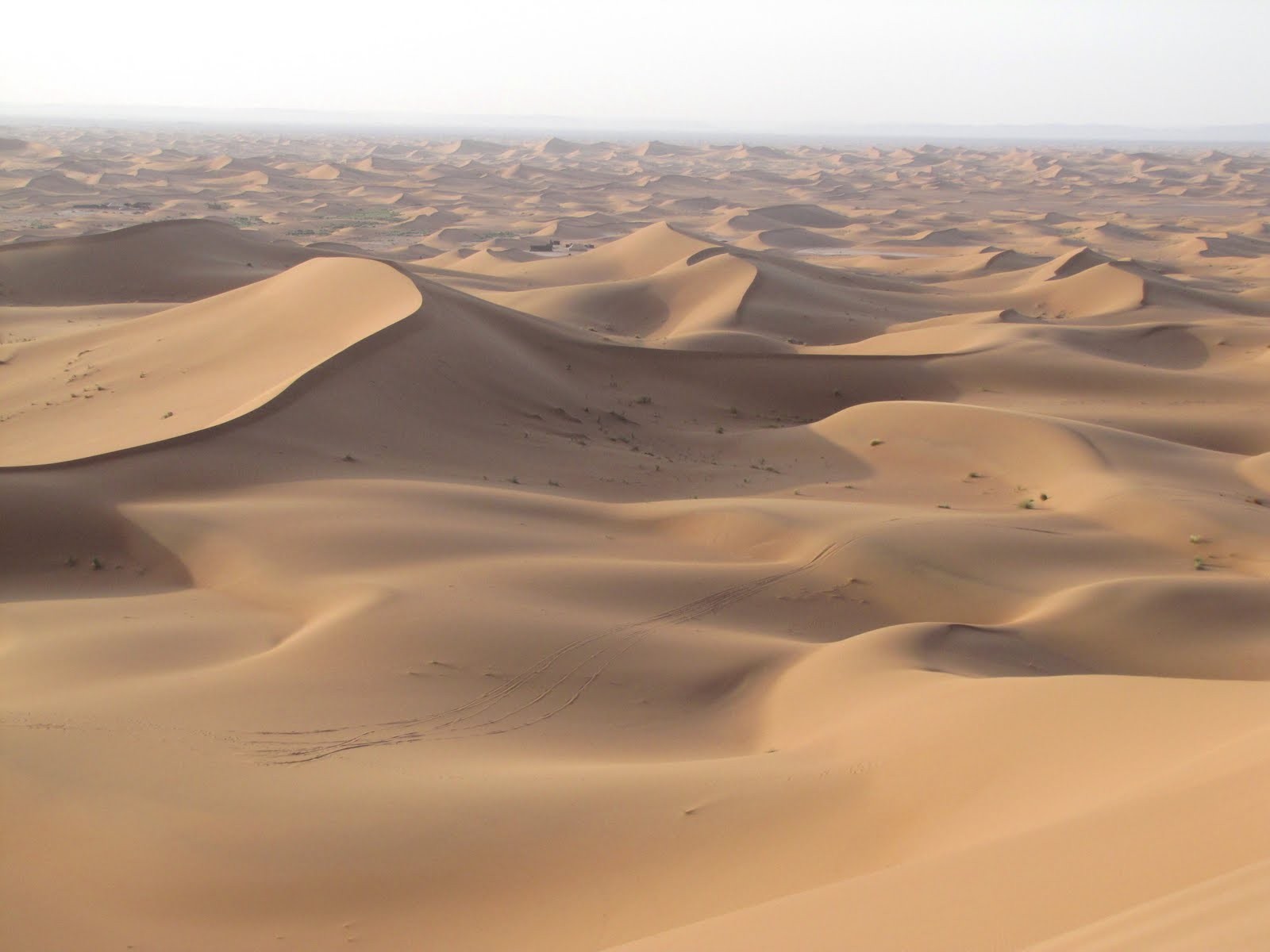 Under the Dunes