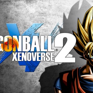 Dragon Ball: Xenoverse 2: Afterwards
