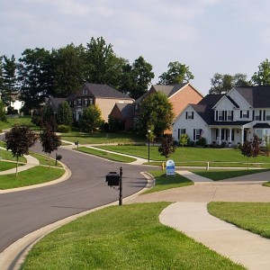 The Neighborhood