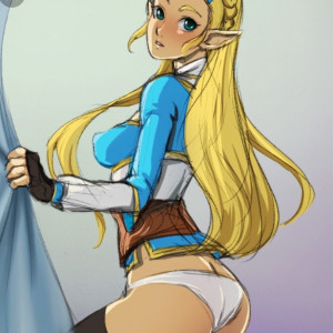 Zelda Botw
