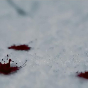 Blood And Snow