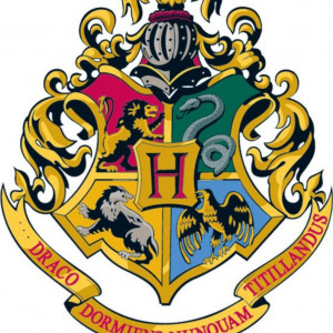 You're advenrures at hogwarts.