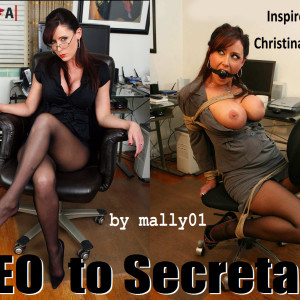 CEO to Secretary