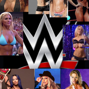 WWE: A Wrestling Career