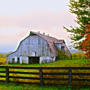 Farming Homestead