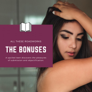 The Bonuses