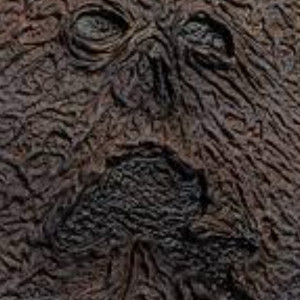 dracaria