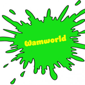 The WAMWORLD Experience