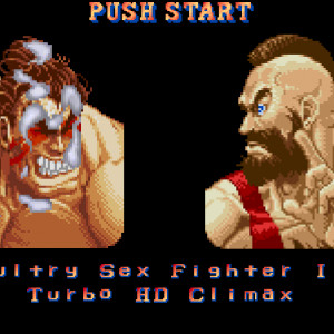 Sultry Sex Fighter II: Turbo HD Climax