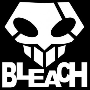 Bleach Possession