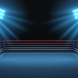 The worlds of Sexfighting 