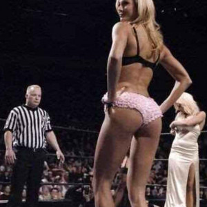 WWE Catfights