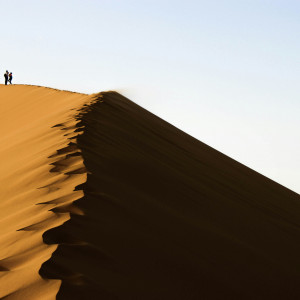 The Long Way Home