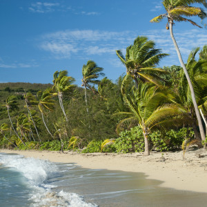 Crashed on a Deserted Island